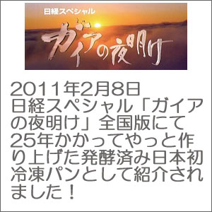 ガイアの夜明け